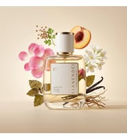 FIANENDÉI PARFUMS W-R1 SPECIAL KADIN PARFUM 50 ML