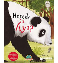 Nerede Şu Ayı Büyük Boy Ciltli Bilgiyolu Kültür