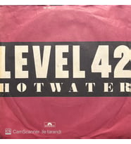 Level 42 Hot Water 45lik Plak (Karışık)