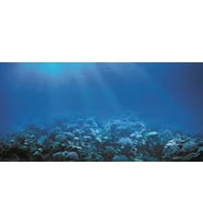 Kanki Pet KP10552022 Akvaryum Arka Fon Yapıştırma 105 x 52 CM