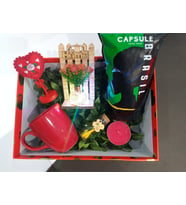 Sevgililer günü hediye kutusu 250gr Brezilya Çekirdek Filtre kahve-  kırmızı kupa-love-love şişe-home ışıklı led çiçek-mum