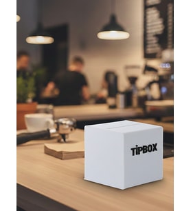 Pleksia TİPBOX KUTU KUMBARA