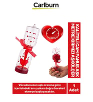 Özel Üretim Dekoratif Sevgililer Günü Gift Hediye Kaliteli Cam Fanus Aşk Metre Kırmızı Aşkölçer (Çok Renkli)