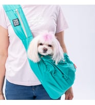 Pawstar Mint Crossbody Küçük Irk Köpek Çapraz Taşıma Çantası