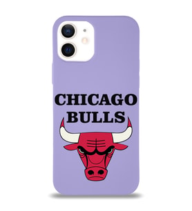 Apple iPhone 12 Mini  Lansman Kılıf Chicago Bulls Tasarımlı Altı Kapalı İçi Kadife Kaplı  Kapak (Şeffaf)