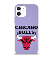 Apple iPhone 12 Mini  Lansman Kılıf Chicago Bulls Tasarımlı Altı Kapalı İçi Kadife Kaplı  Kapak (Şeffaf)