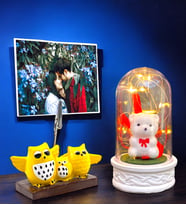Fotoğraflı Hediye Seti  Led Işıklı Fanus & Baykuş Temalı Fotoğraf Tutucu  Kişiye Özel Hediye Seti (Model 3)