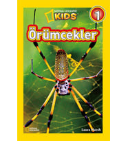 Kids - Örümcekler