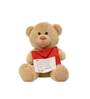 Peluş Mektuplu Ayıcık 45 Cm - Mavi Su Dünyası (Çok Renkli)