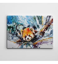Kızıl Panda Suluboya Kanvas Tablo