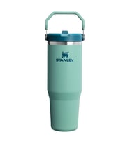Stanley The IceFlow Flip Straw Pipetli Termos Bardak 0,89 LT Spring Green
