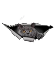 15cm x 6cm İngiliz Shorthair komik kedi araba Sticker gri kedi