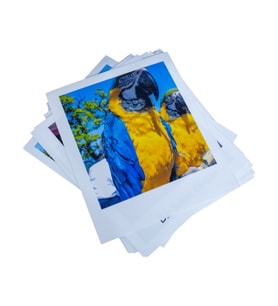 30 Adet Pola Fotoğraf Baskısı, Yüksek Kalite 10x12 cm Kişiye Özel Foto Kartlar, Hediyelik Anı Kartları