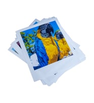 30 Adet Pola Fotoğraf Baskısı, Yüksek Kalite 10x12 cm Kişiye Özel Foto Kartlar, Hediyelik Anı Kartları