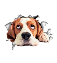 Köpek Araba Sticker Yapıştırması Renkli 20CM