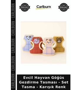 Özel Üretim Yürüyüş Kayışı Sevgi Dolu Evcil Hayvan Göğüs Gezdirme Tasması - Set Tasma - Karışık Renk