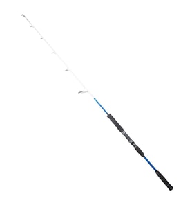 Ryuji Big Game Fuji 159cm 350gr Shore Jig Kamış
