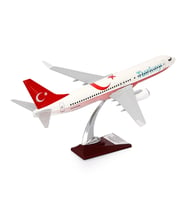 Zekupp - Maket Uçak - Boeing 737-800 1/100 - TÜRKİYE ÖZEL TASARIMLI Model Uçak,  Model D