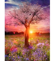 Doğa Ana Sayılarla Boyama Seti 50x65 cm (Tuvale Gerili)