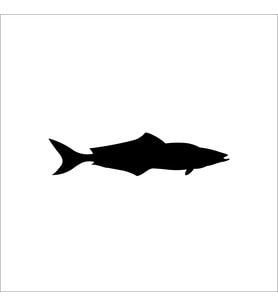 BALIK FOLYO STİCKER 50cm Uzunluk (Karışık)