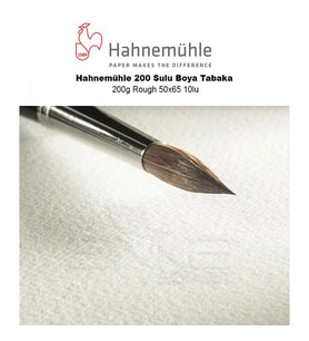 Hahnemühle 200 Sulu Boya Tabaka 200g Rough 50x65 10lu