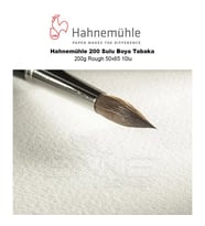 Hahnemühle 200 Sulu Boya Tabaka 200g Rough 50x65 10lu