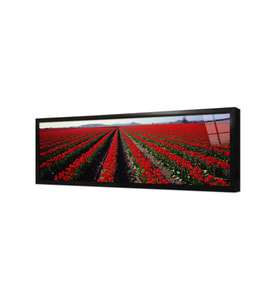Panoramik Doğa Çerçeveli Cam Tablo