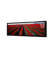 Panoramik Doğa Çerçeveli Cam Tablo