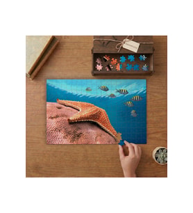 Mercan Resifi - Deniz Yıldızı ve Çizgili Balıklar Tasarımı 240 parça Ahşap Puzzle Ahşap Kutuda MP09260