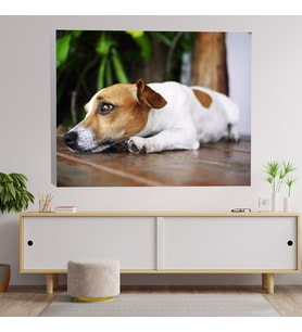 Sevimcil Yavru Köpek Dekoratif Kanvas Tablo