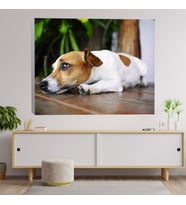 Sevimcil Yavru Köpek Dekoratif Kanvas Tablo