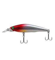 Sea Horse Fly Magnet 9 Cm 16 Gr Rl-03