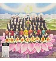 George Harrison Dark Horse LP Plak (Karışık)