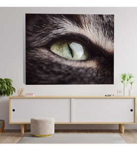 Yakın Çekim Kedi Gözü Temalı Kanvas Tablo