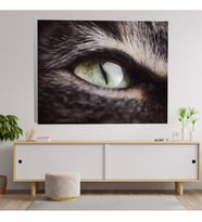 Yakın Çekim Kedi Gözü Temalı Kanvas Tablo