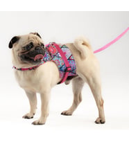 Kaçış Önleyici Ayarlanabilir Küçük Irk ve Büyük Irk Köpek Göğüs Tasma Seti ve Gezdirme İpi (Etnik Pembe, 2XL)