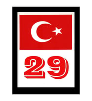 Türkiye Bayraklı Gümüşhane 29 Plaka Kodu Ön Cam Sticker