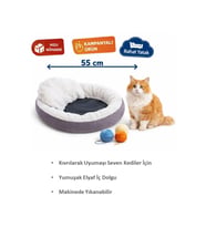 KEDİ YATAĞI-MOR