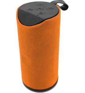 TT V-113 Kablosuz Bluetooht Hoparlör FM/ TF Kart/ USB/ Aux