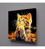 IŞILTILI KEDİ KANVAS TABLO 25x25cm (Karışık)