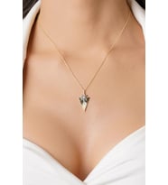 14 Ayar Altın Tektaş Detaylı Işıltılı Kuzey Yıldızı Kolye (Rose)