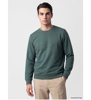 LCWAIKIKI Classic Yeşil Bisiklet Yaka Baskılı Erkek Kalın Sweatshirt