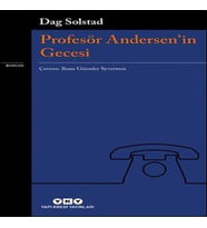 Profesör Andersen'in Gecesi