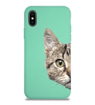 Apple iPhone X Uyumlu Lansman Kılıf Catface Tasarımlı Altı Kapalı İçi Kadife Kaplı Silikon Kapak (Şeffaf)