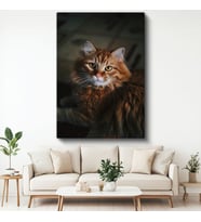 Kahverengi Kedi - Uzun Tüylü Bakışları Etkileyen Kanvas Tablo