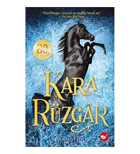 Kara Rüzgar