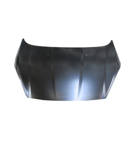Ford Fiesta 13/17 Motor Kaputu (Tyg)