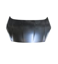 Ford Fiesta 13/17 Motor Kaputu (Tyg)