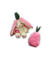 BERRY RABBİT 35 CM (Çok Renkli)