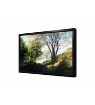 Tablosan Doğa Manzarası Çerçeveli Cam Tablo
